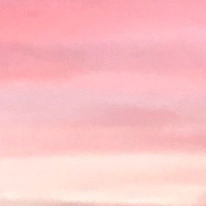 Meet your Posher, Kylee